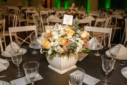 RONEY-47-98436-6626-FOTO-7720